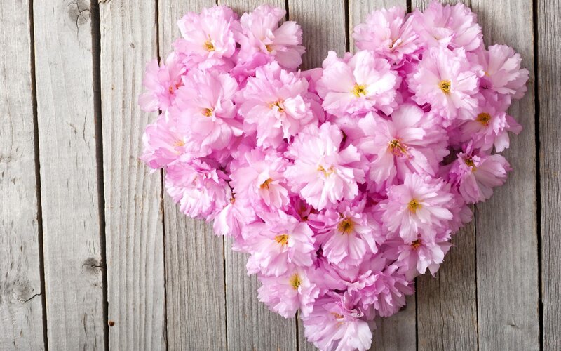 Pink Flowers in Heart Shape — Calm