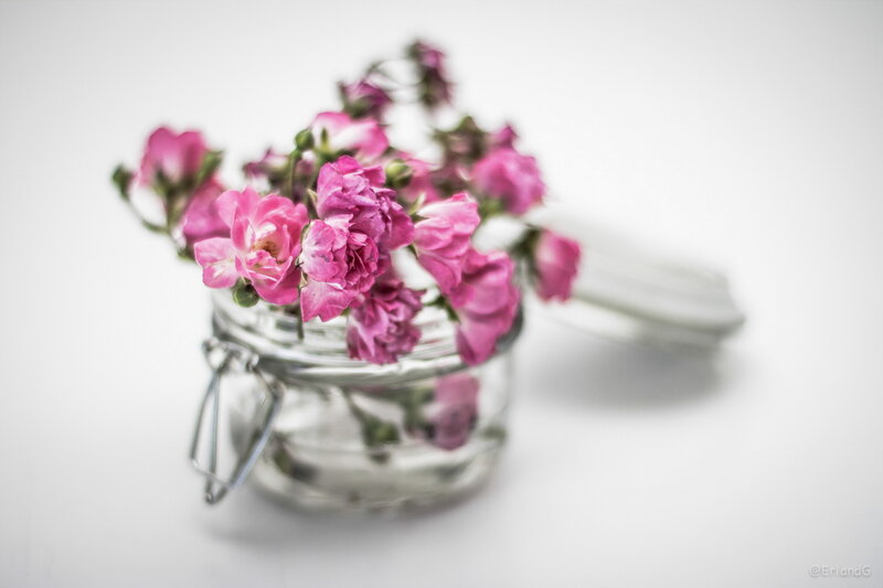 Pink Flowers in Jar
