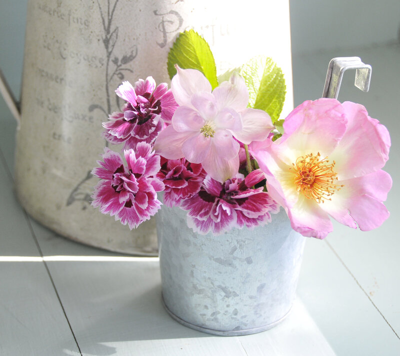 Pink Flowers in Metal Bucket