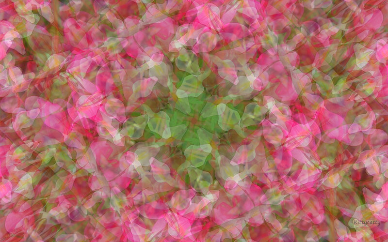 Pink Flowers in Motion — Dynamic