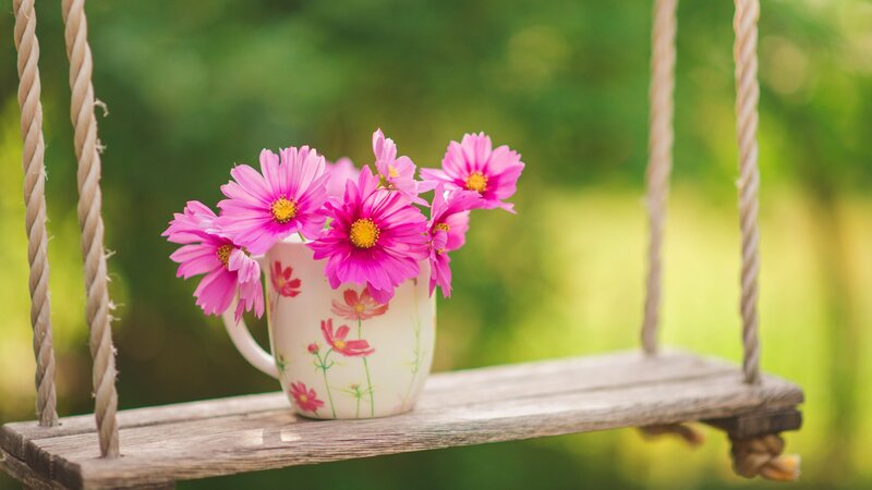 Pink Flowers in Mug — Serene, Afternoon
