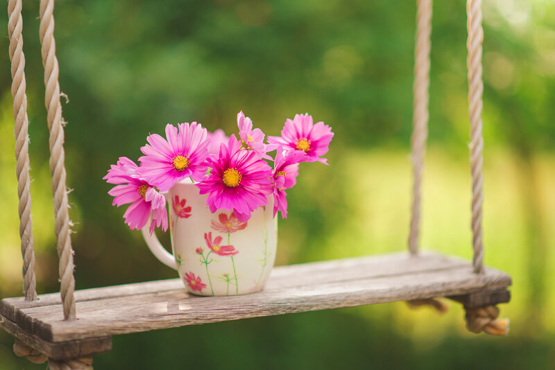 Pink Flowers in Mug — Serene