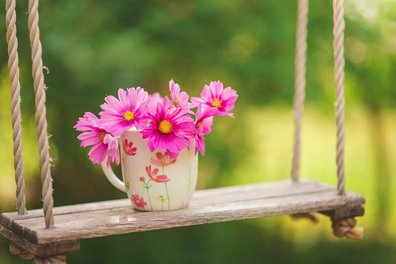 Pink Flowers in Mug