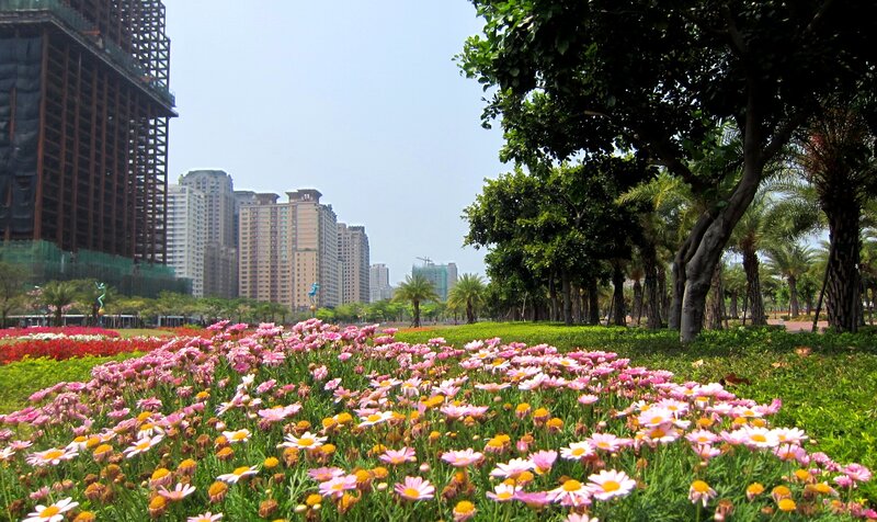 Pink Flowers in Park