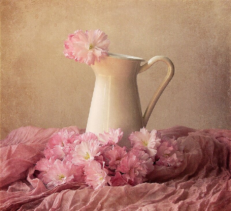 Pink Flowers in Pitcher — Serene
