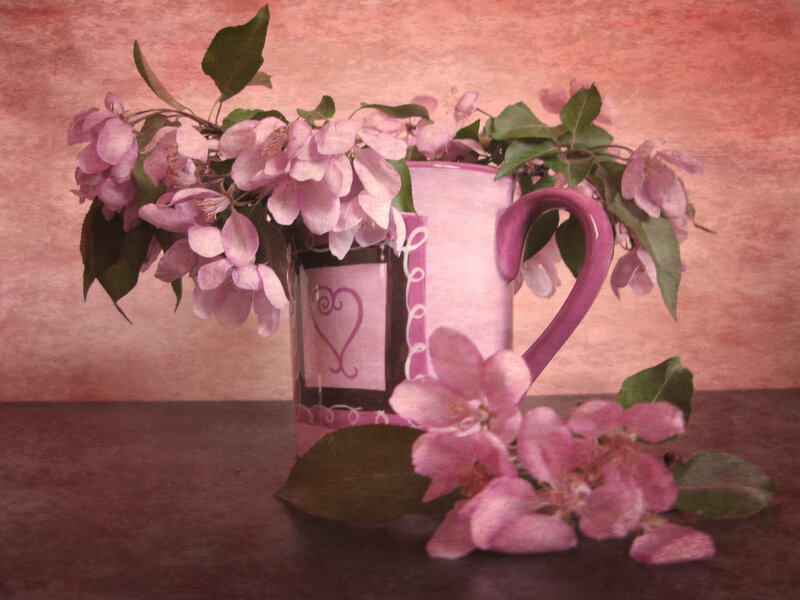 Pink Flowers in Pitcher