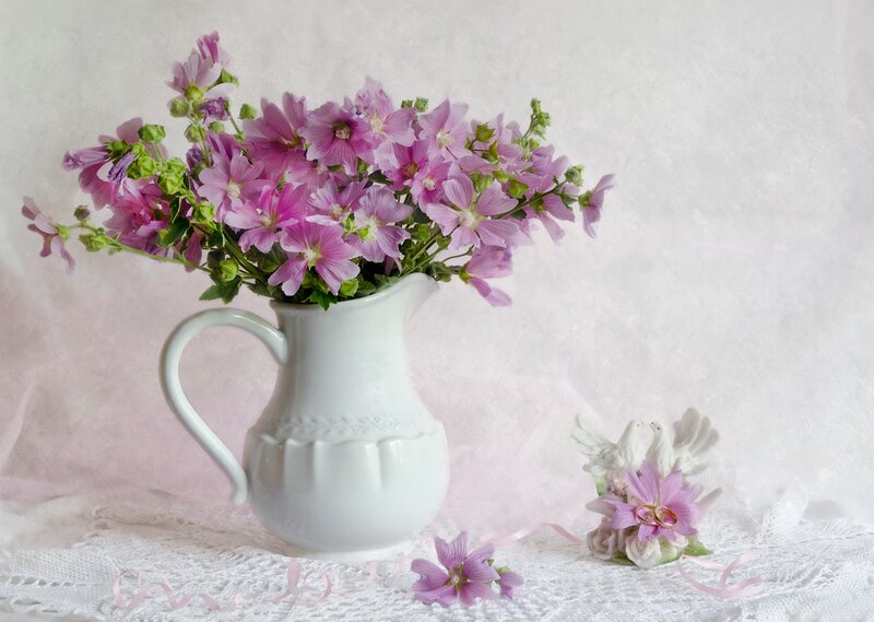 Pink Flowers in Pitcher — White, Serene