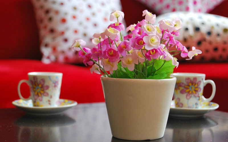 Pink Flowers in Pot — Red