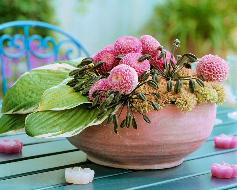 Pink Flowers in Pot — Serene