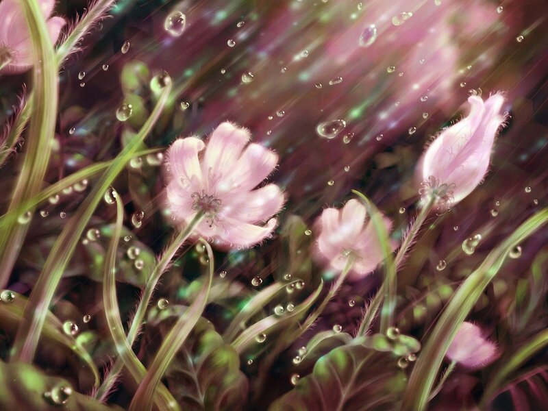 Pink flowers in rain
