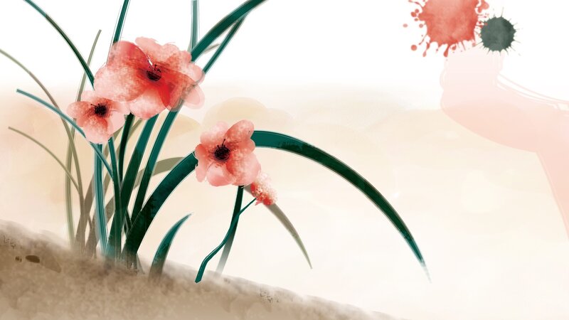 Pink Flowers in Soil