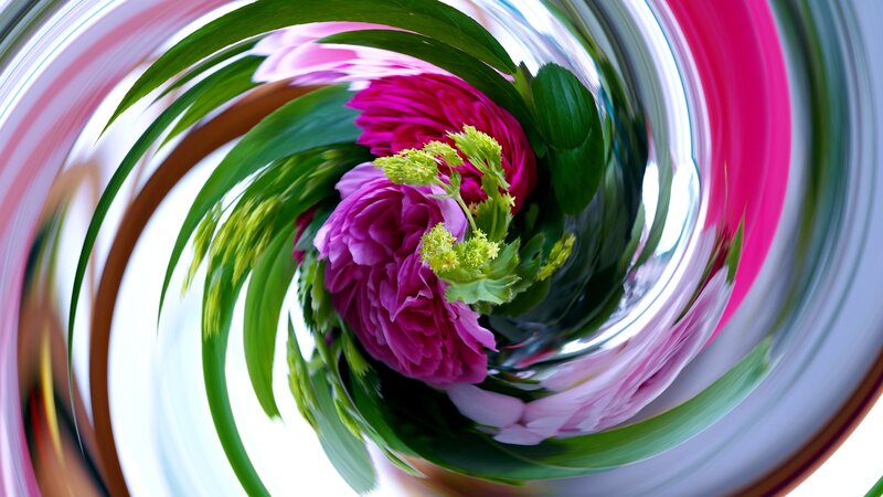 Pink Flowers in Swirl