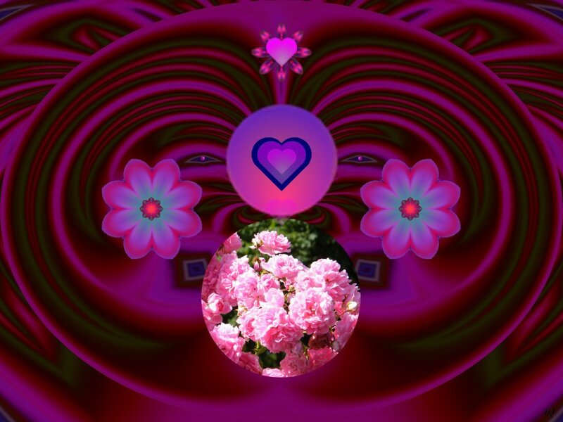 Pink Flowers in Swirls