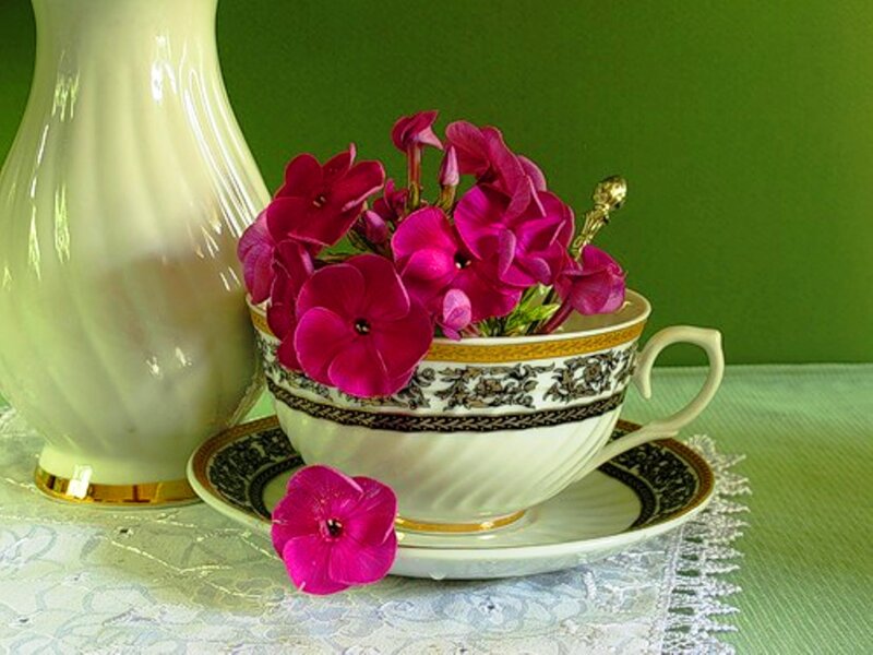 Pink Flowers in Teacup — Green, Serene
