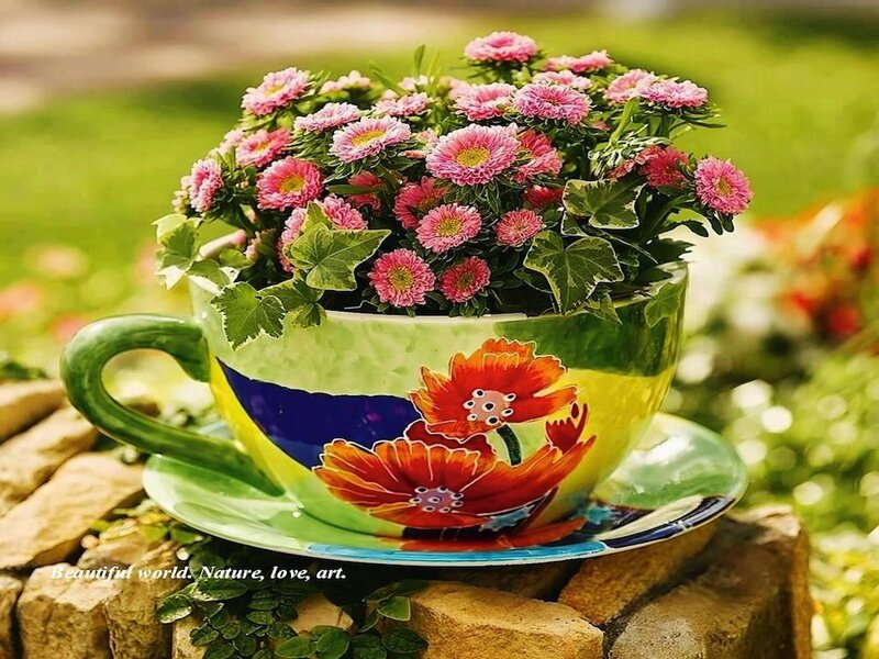 Pink Flowers in Teacup — Green