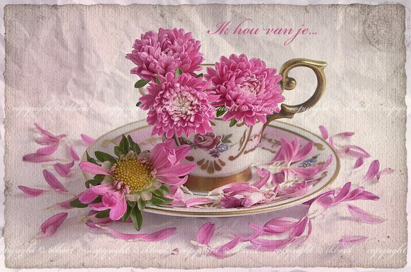 Pink Flowers in Teacup — Serene, Digital Art