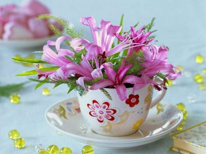 Pink Flowers in Teacup — Serene, Photograph