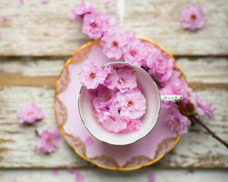 Pink Flowers in Teacup — Serene, Spring, Photograph