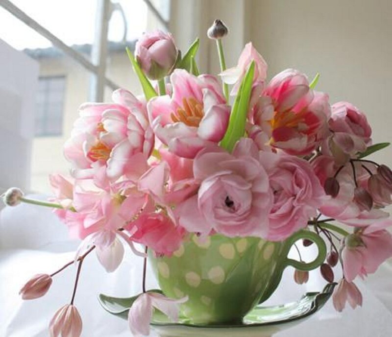 Pink Flowers in Teacup — Serene