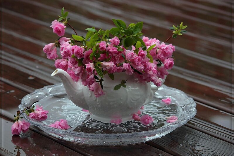 Pink Flowers in Teapot — Serene