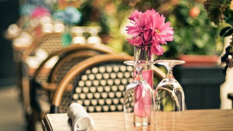 Pink Flowers in Vase — Calm, Afternoon, Photograph