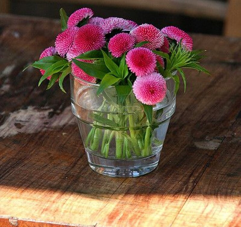 Pink Flowers in Vase — Calm, Afternoon