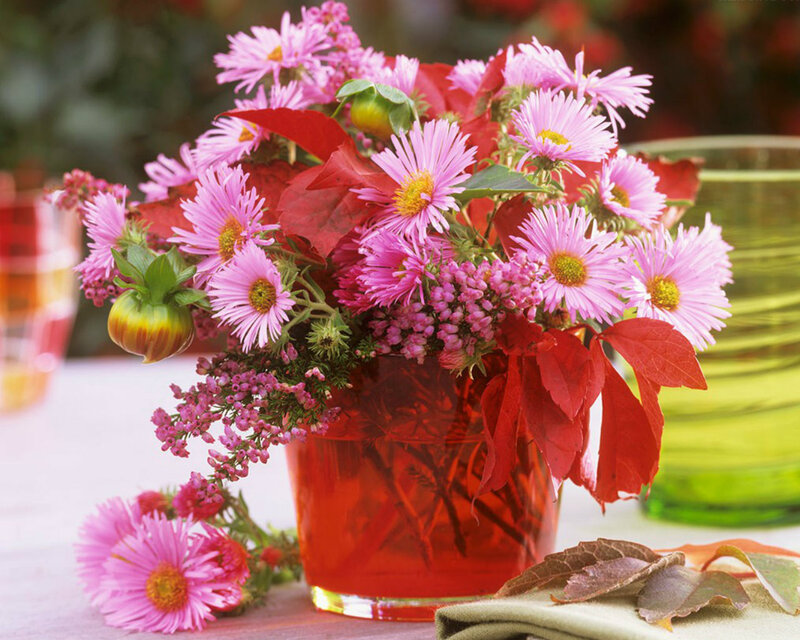 Pink Flowers in Vase — Calm, Autumn