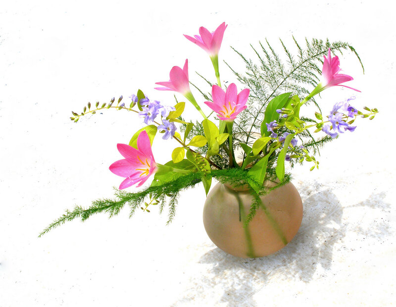 Pink Flowers in Vase — Calm, Photograph, Greenery