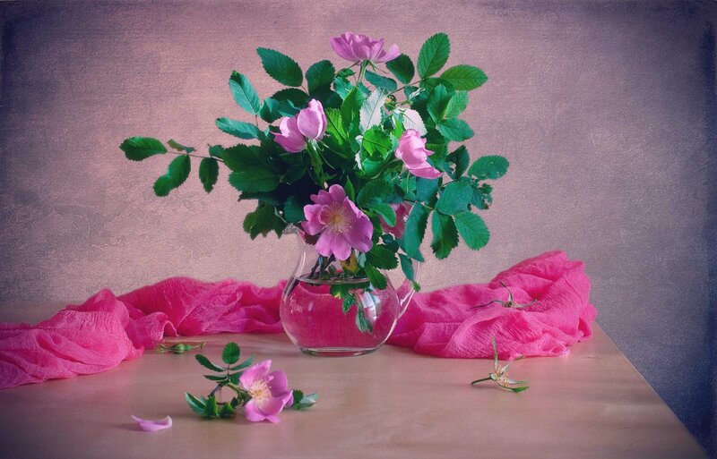 Pink Flowers in Vase — Calm, Photograph, Scarf