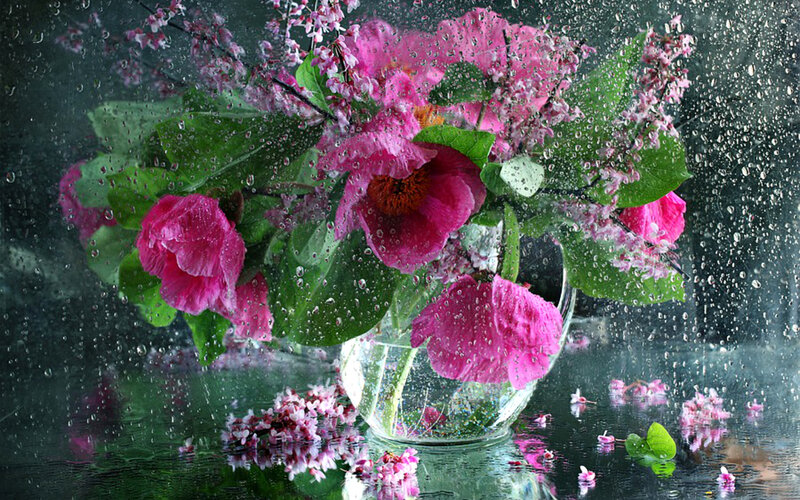 Pink Flowers in Vase — Calm, Spring