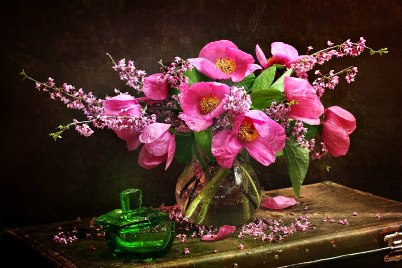 Pink Flowers in Vase — Dramatic, Photograph