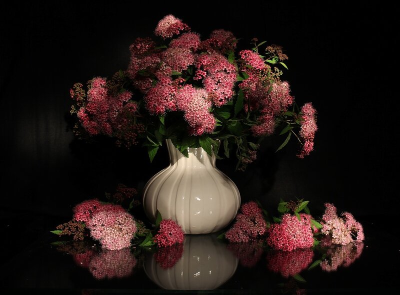 Pink Flowers in Vase — Dramatic