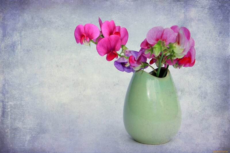 Pink Flowers in Vase — Green, Serene