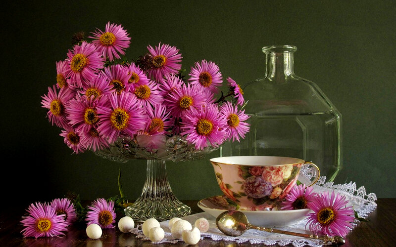 Pink Flowers in Vase — Purple, Calm, Photograph