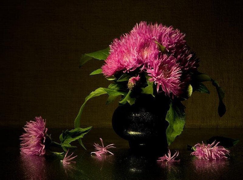 Pink Flowers in Vase — Purple, Dramatic