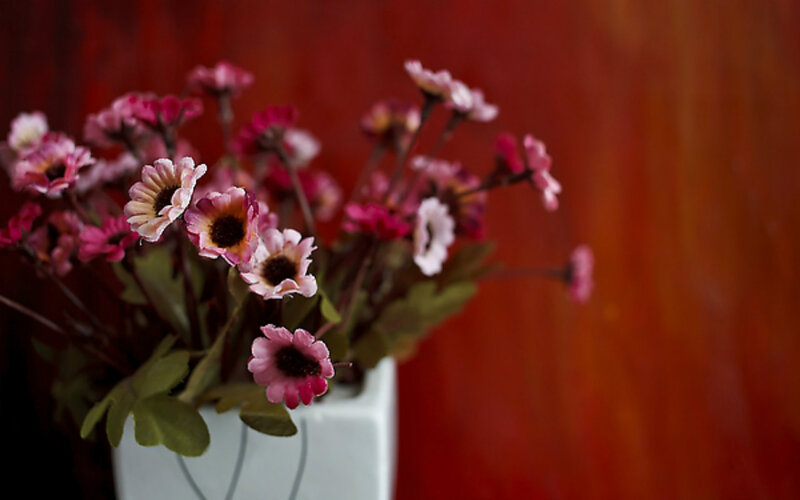 Pink Flowers in Vase — Red