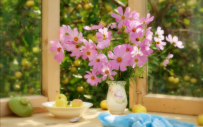 Pink Flowers in Vase — Serene, Afternoon