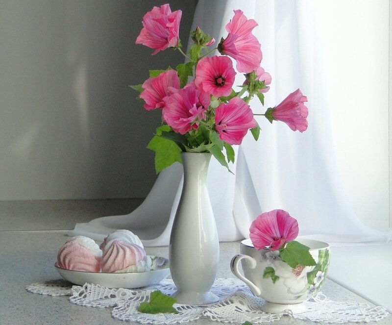 Pink Flowers in Vase — Serene, Morning, Photograph, Marshmallows
