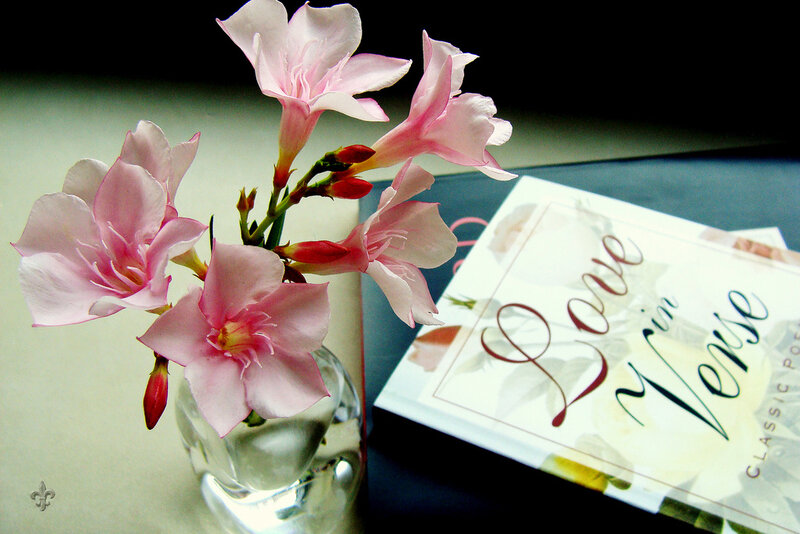 Pink Flowers in Vase — Serene, Photograph, Book
