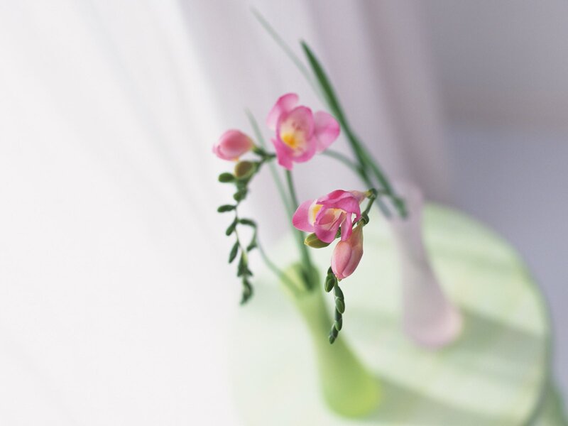 Pink Flowers in Vase — Serene, Photograph, Curtain
