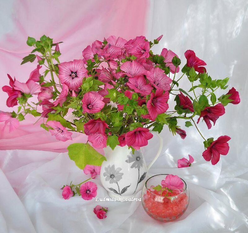 Pink Flowers in Vase — Serene, Photograph, Glass Bowl