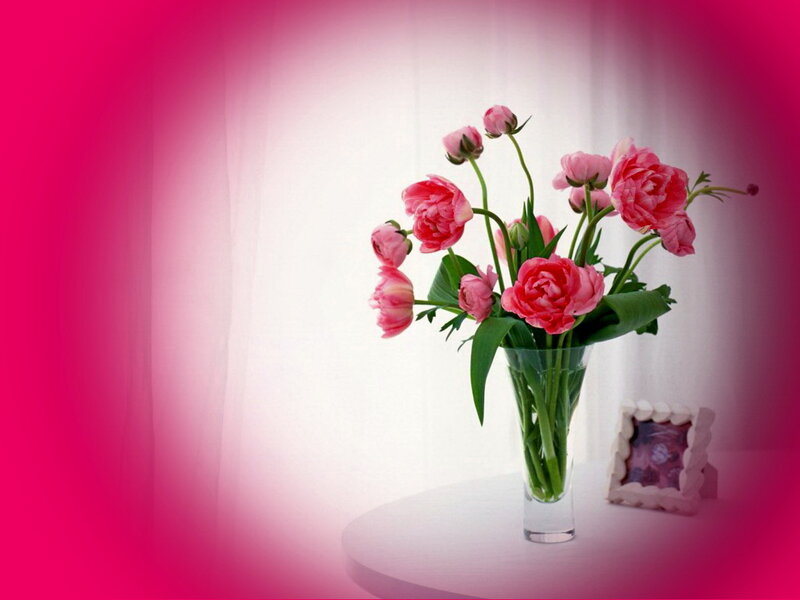 Pink Flowers in Vase — Serene, Photograph, Picture Frame