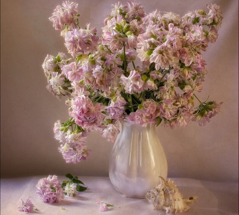 Pink Flowers in Vase — Serene, Photograph, Seashell