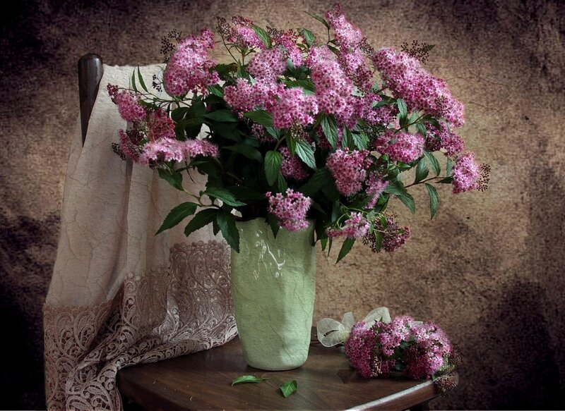 Pink Flowers in Vase — Serene, Photograph