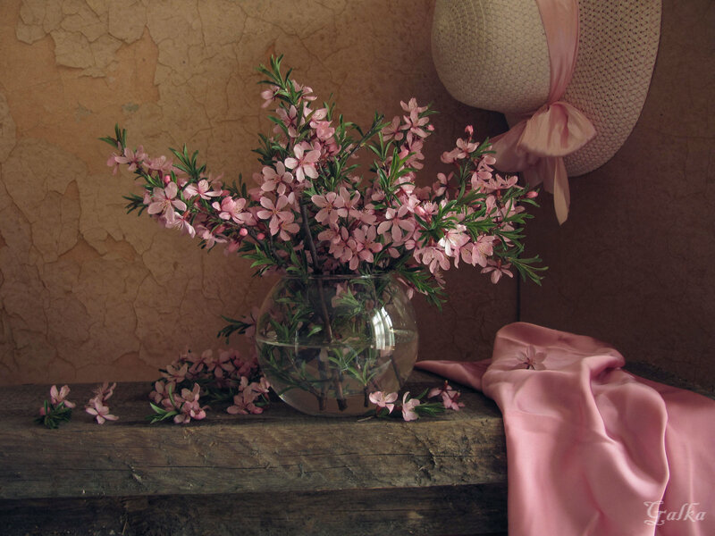 Pink Flowers in Vase — Serene, Spring, Photograph
