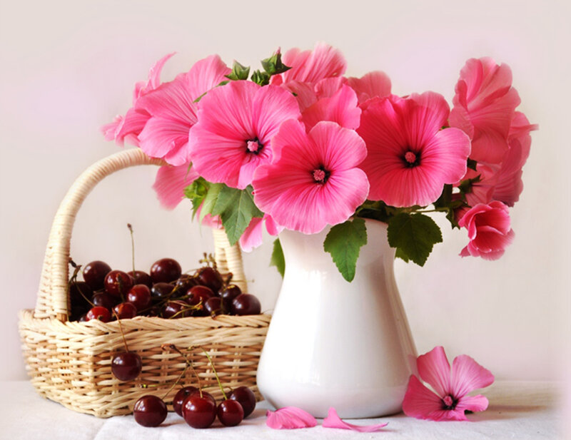Pink Flowers in Vase — Serene, Spring