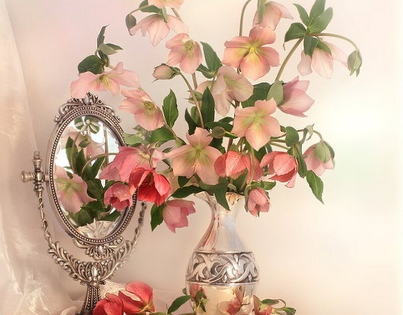 Pink Flowers in Vase