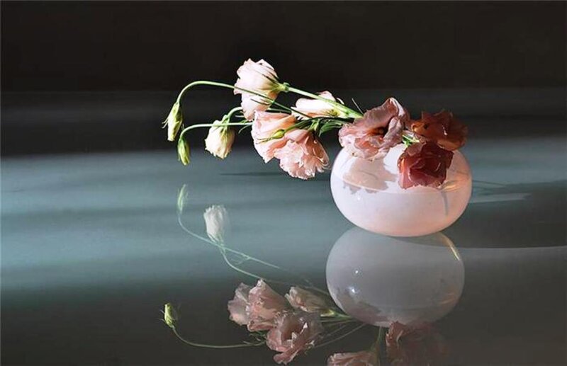 Pink Flowers in Vase — White, Serene