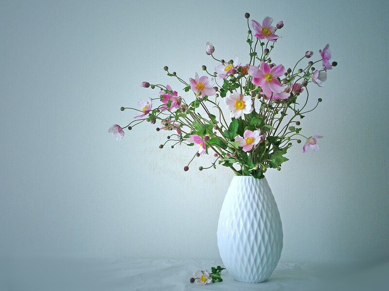 Pink Flowers in Vase — White