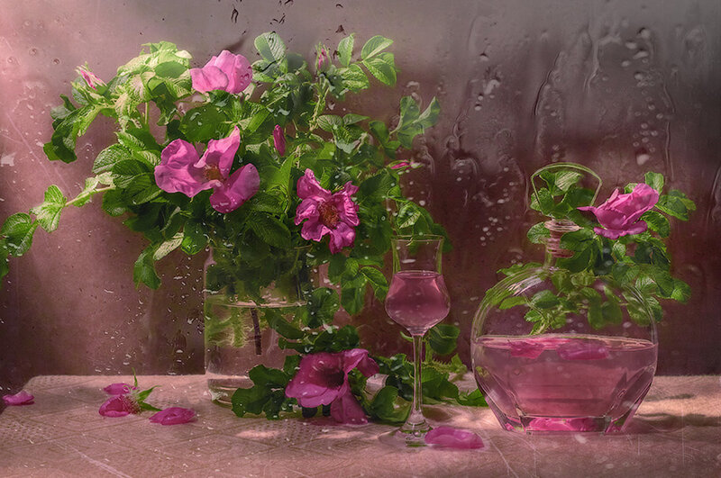 Pink Flowers in Vases — Serene, Photograph